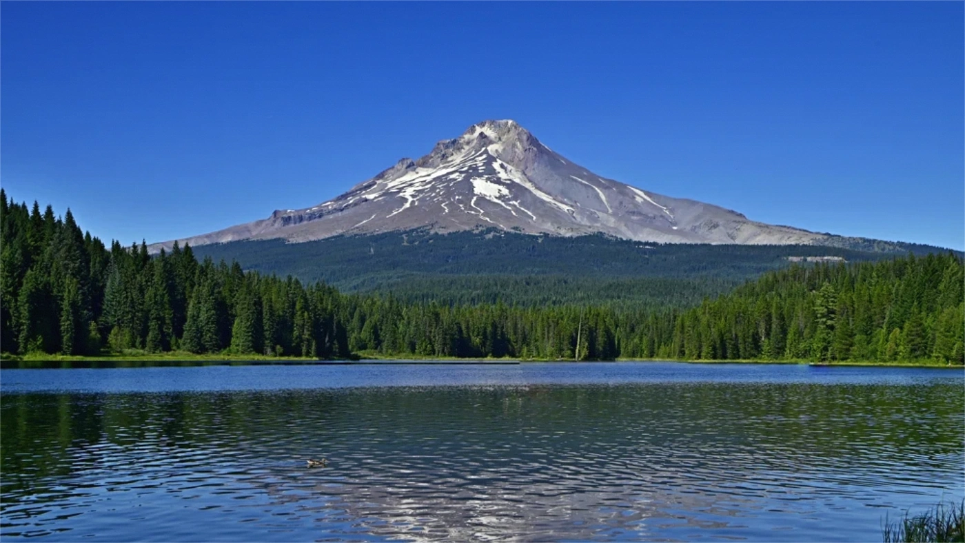 How to Sell Land Without a Realtor in Oregon Oregon land guide