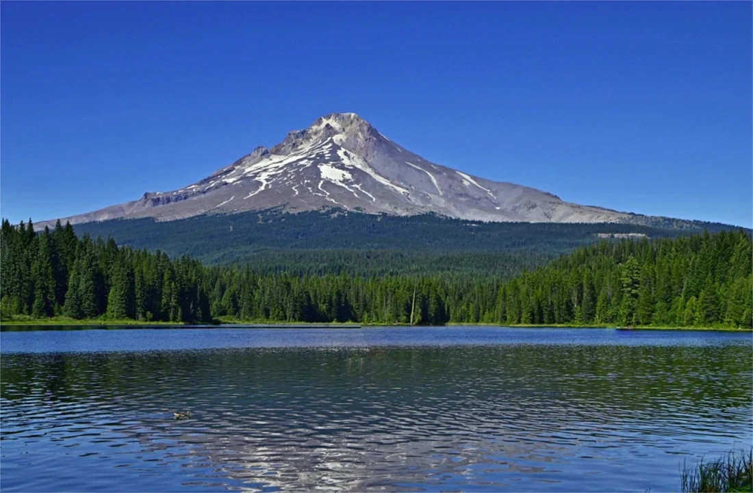 Oregon land closing documents for How to Sell Land Without a Realtor in Oregon