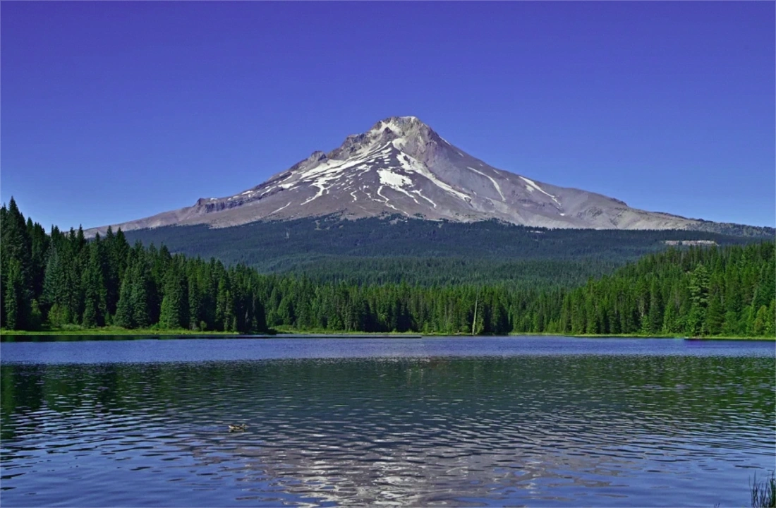 Oregon land offer review for Sell Land Oregons: What Sellers Should Know
