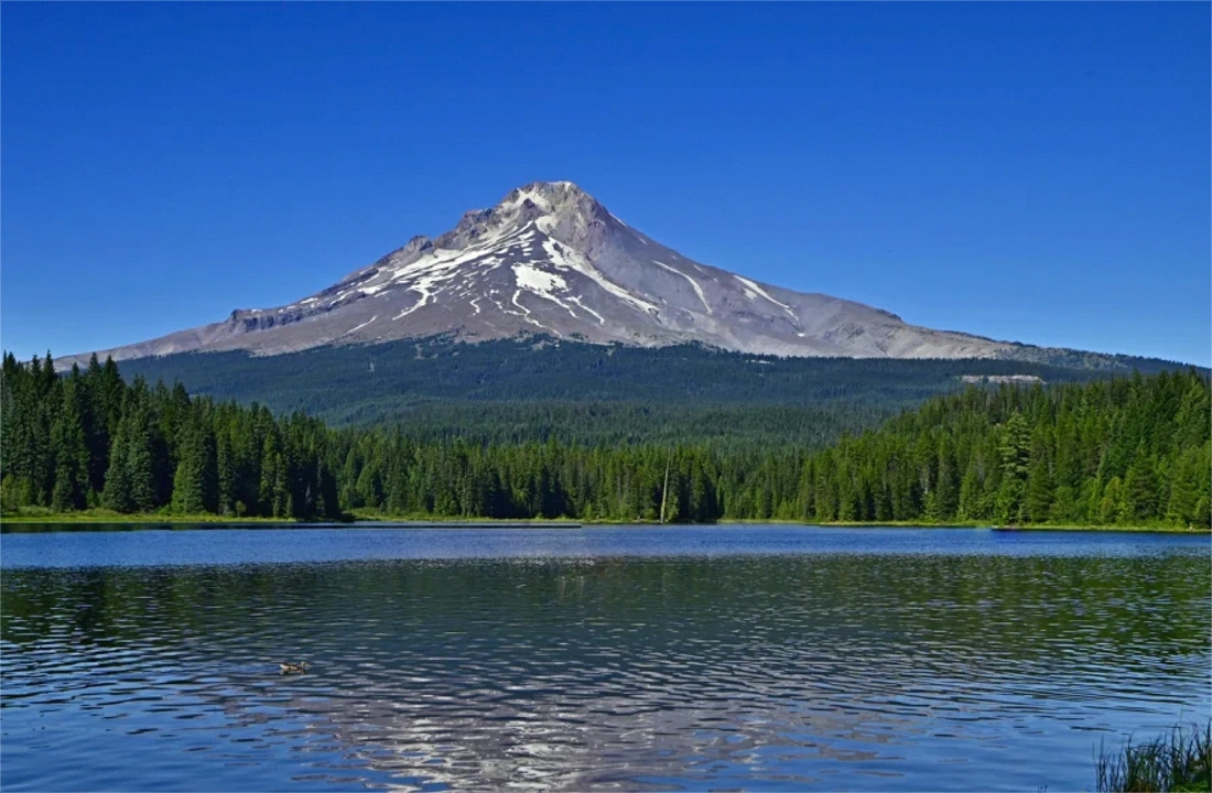Oregon land closing documents for Sell Land Oregons: What Sellers Should Know
