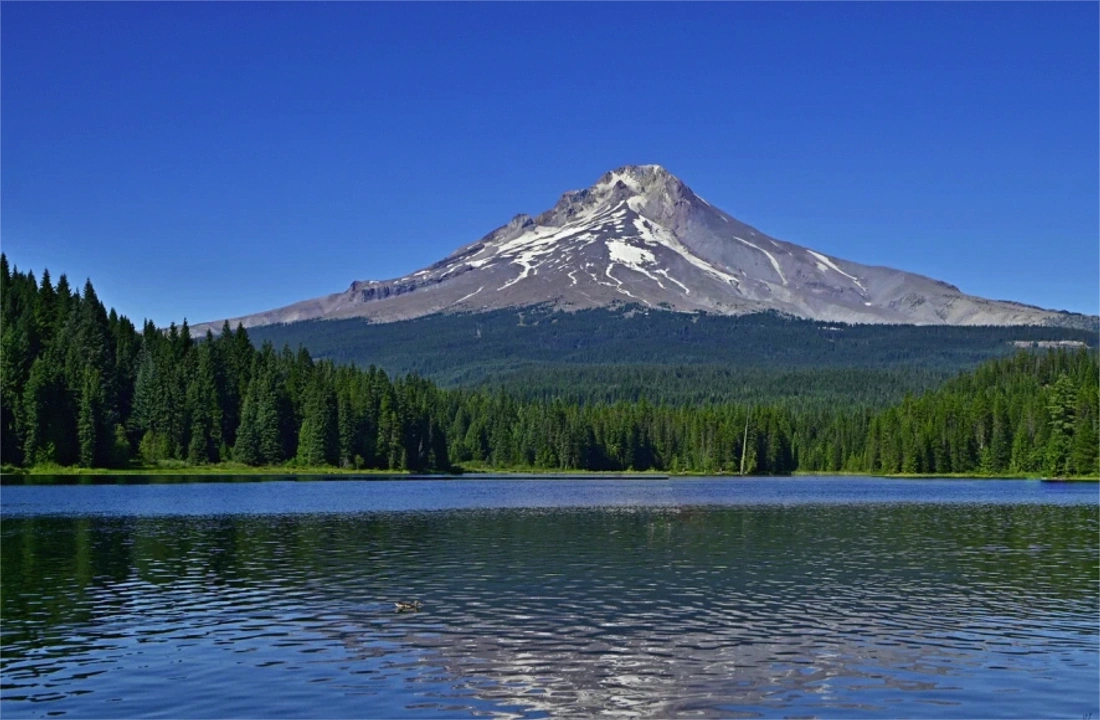 Oregon land parcel records for Selling Land to a Developer in Oregon